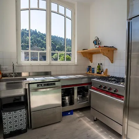 Grande Demeure Avec Piscine Couverte Et Parking Pour 15 Personnes - Fr-1-858-4 * Le Mont-Dore